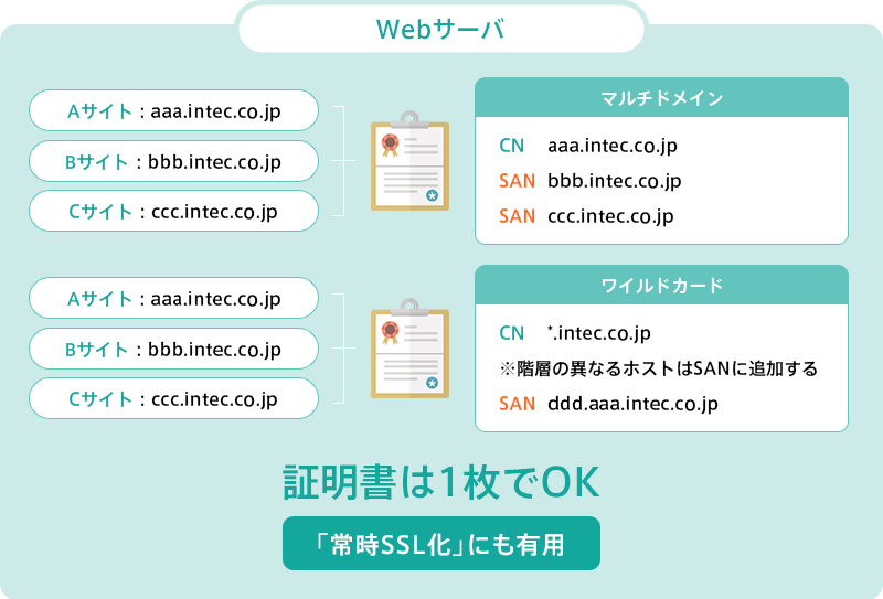 パブリックWebサーバ証明書発行サービス（EINS/PKI）｜電子証明書｜EINS WAVE～TISインテックグループ